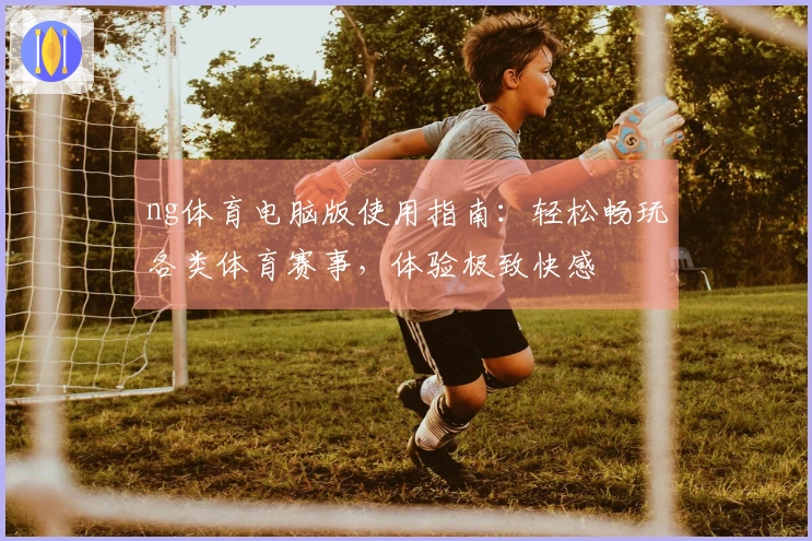 ng体育电脑版使用指南：轻松畅玩各类体育赛事，体验极致快感