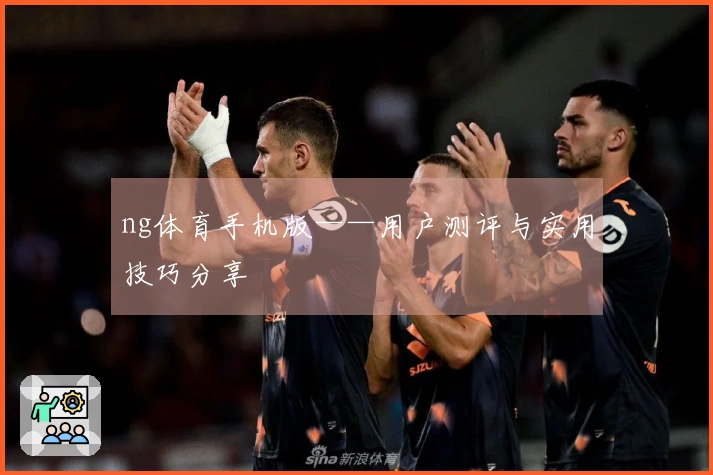 ng体育手机版——用户测评与实用技巧分享