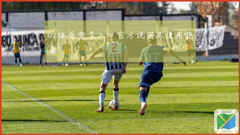 ng体育登录入口官方说明及使用指南