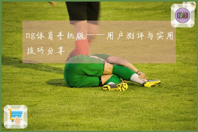 ng体育手机版——用户测评与实用技巧分享