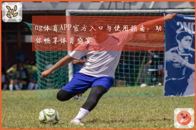 ng体育APP官方入口与使用指南，助你畅享体育盛宴