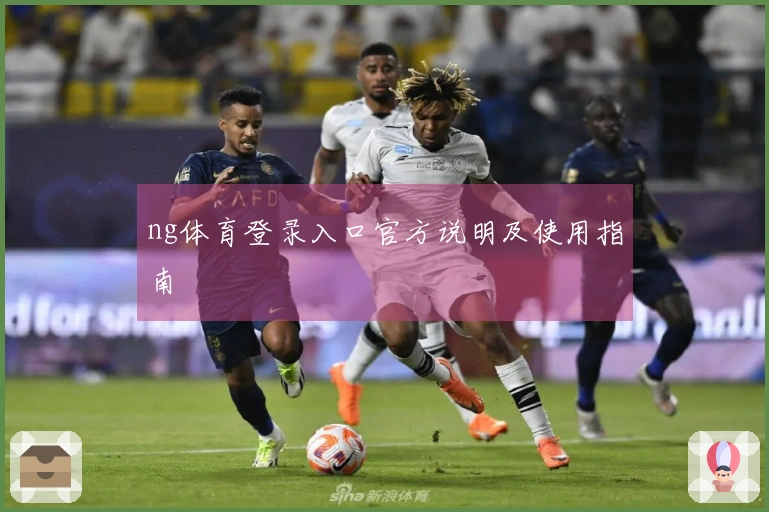 ng体育登录入口官方说明及使用指南